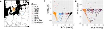 Genetic architecture behind developmental and seasonal control of tree growth and wood properties in Norway spruce